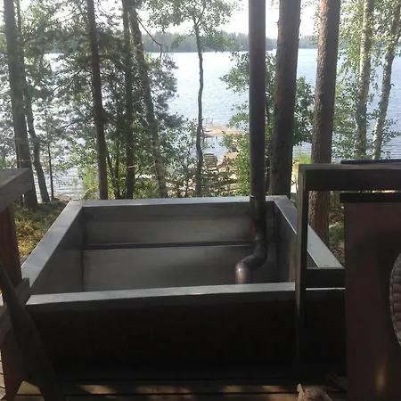 Kesaemoekki Ruokolahti Talkkuna (Southern Finland)