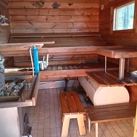 Kesaemoekki Ruokolahti